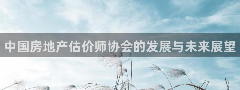 天狮娱乐主管q42862s：中国房地产估价师协会的发展与未来