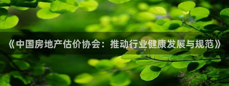 做天狮娱乐代理犯法吗：《中国房地产估价协会：推动行业健康发展