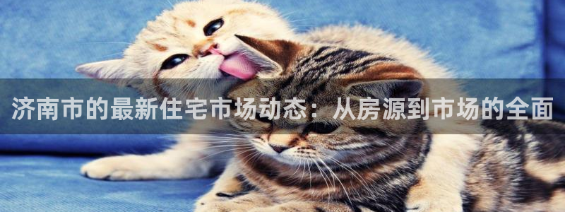 天狮娱乐负责人是：济南市的最新住宅市场动态：从房源到市场的全