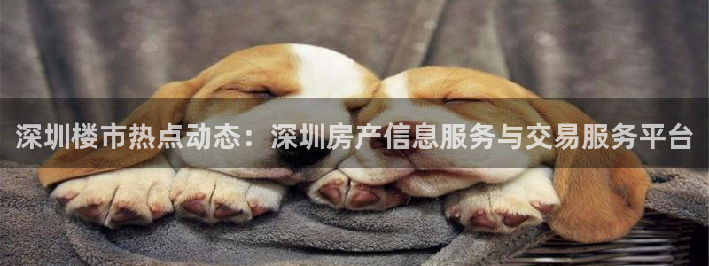 du天狮娱乐 主管注册官网：深圳楼市热点动态：深圳房产信息服