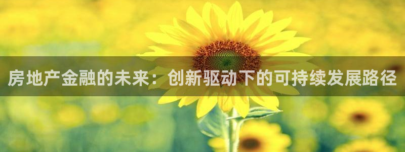 天狮娱乐招商66六26：房地产金融的未来：创新驱动下的可持续
