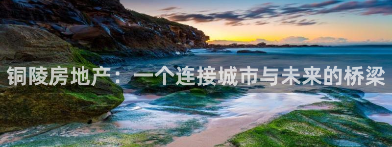 天狮会娱乐会所图片：铜陵房地产：一个连接城市与未来的桥梁