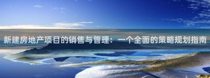 天狮娱乐行：新建房地产项目的销售与管理：一个全面的策略规划指