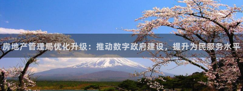 天狮娱乐q聊_99399天神_：房地产管理局优化升级：推动数