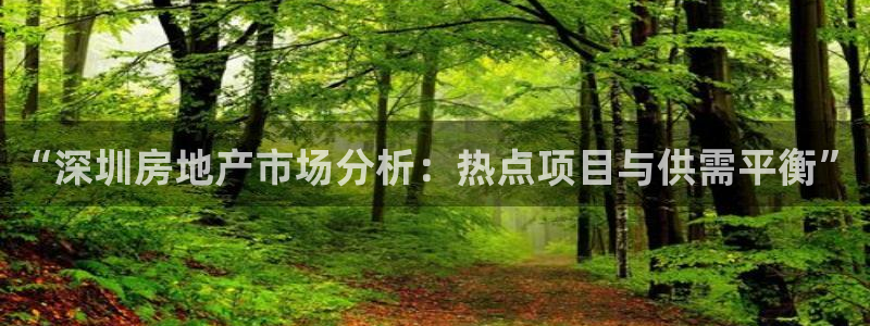 天狮娱乐57661 老x板：“深圳房地产市场分析：热点项目与