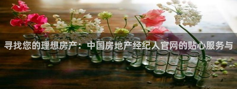 天狮娱乐是黑平台吗：寻找您的理想房产：中国房地产经纪人官网的