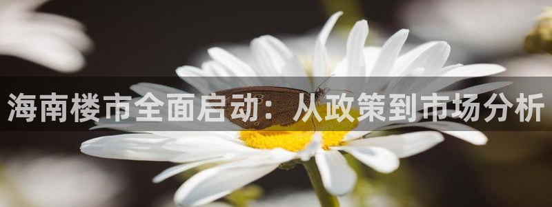 天狮娱乐真的：海南楼市全面启动：从政策到市场分析