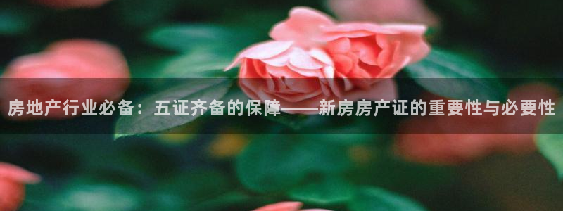天狮娱乐哪里注册：房地产行业必备：五证齐备的保障——新房房产