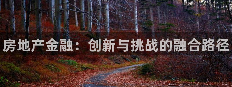 天狮娱乐经：房地产金融：创新与挑战的融合路径