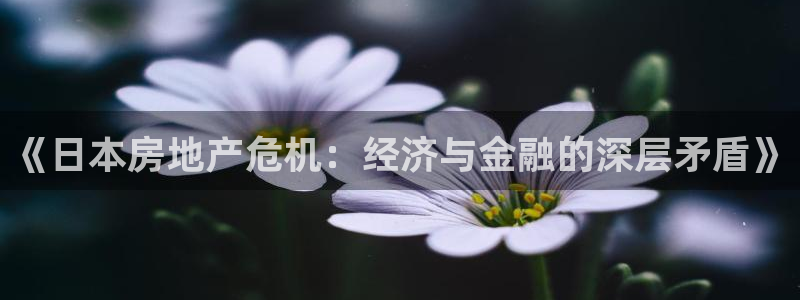 天狮娱乐縕不稳当：《日本房地产危机：经济与金融的深层矛盾》