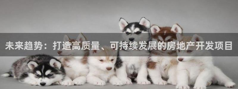 天狮娱乐注册平台官网：未来趋势：打造高质量、可持续发展的房地