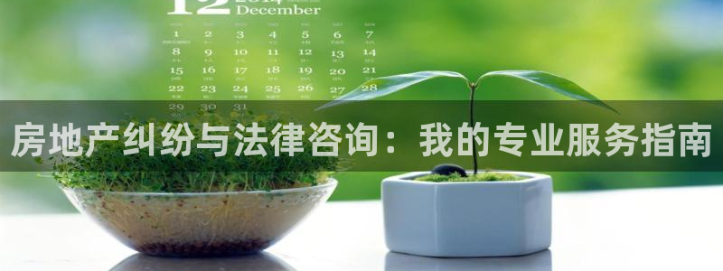 天狮娱乐怎样下载：房地产纠纷与法律咨询：我的专业服务指南