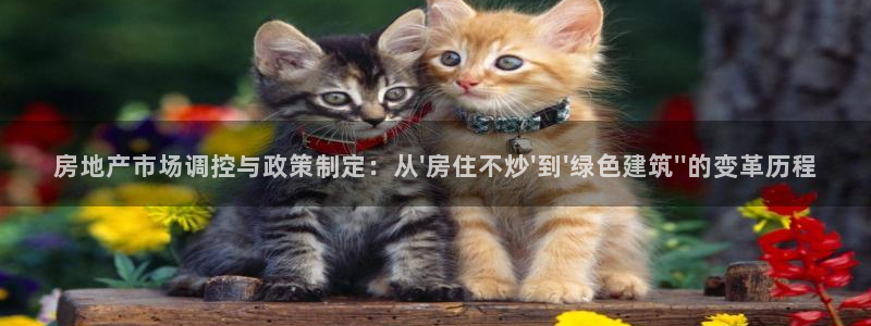 天狮娱乐谁在玩：房地产市场调控与政策制定：从\'房住不炒\'