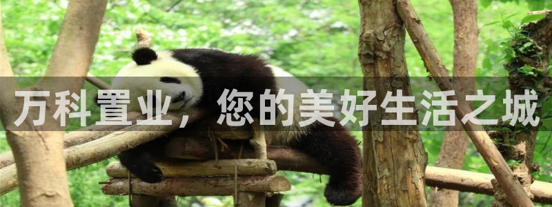 天狮娱乐815422：万科置业，您的美好生活之城