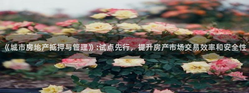天狮娱乐 b主管61166：《城市房地产抵押与管理》:试点先