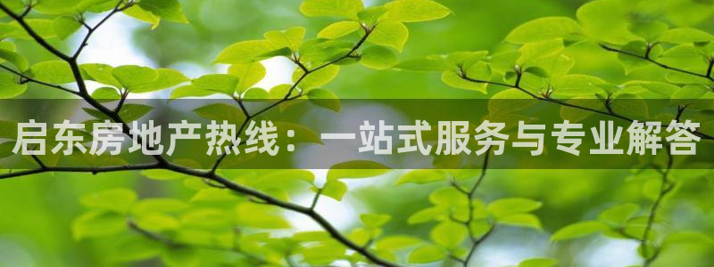 天狮娱乐官方代理：启东房地产热线：一站式服务与专业解答