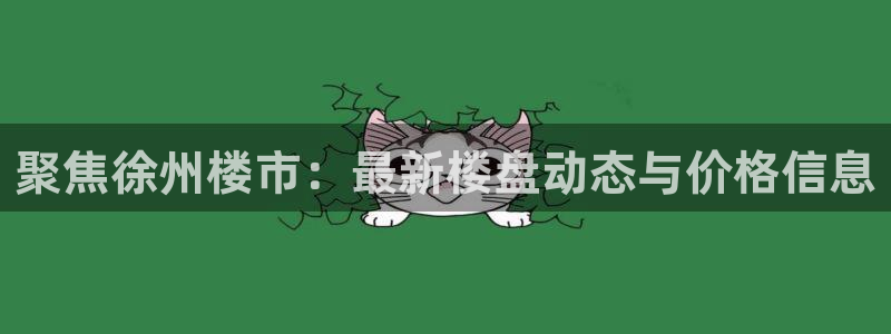 天狮会娱乐KTV会所怎么样：聚焦徐州楼市：最新楼盘动态与价格