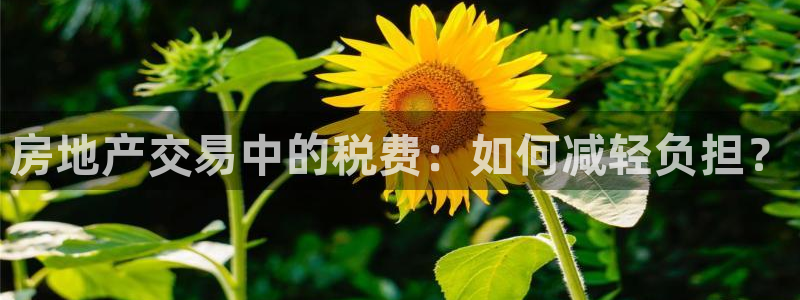 天狮娱乐950594：房地产交易中的税费：如何减轻负担？
