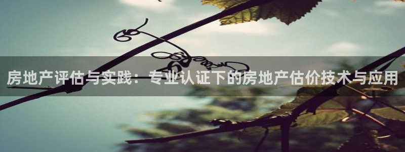 天狮娱乐运营57757：房地产评估与实践：专业认证下的房地产