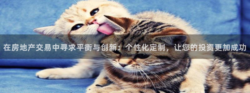 天狮娱乐彩票靠谱吗：在房地产交易中寻求平衡与创新：个性化定制