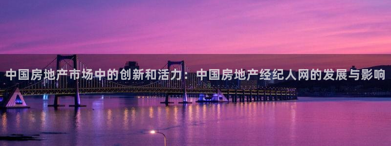 天狮娱乐招商80326：中国房地产市场中的创新和活力：中国房