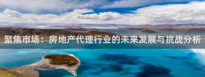 天狮娱乐股东招商：聚焦市场：房地产代理行业的未来发展与挑战分