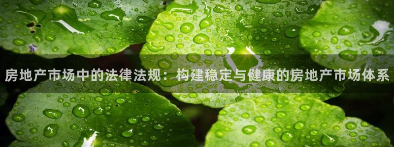 天狮娱乐彩票平台黑钱吗：房地产市场中的法律法规：构建稳定与健