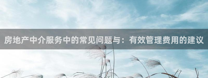 财富娱乐会所天狮：房地产中介服务中的常见问题与：有效管理费用