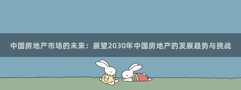 天狮娱乐彩票平台：中国房地产市场的未来：展望2030年中国房