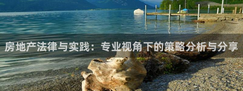 天狮娱乐彩票官网：房地产法律与实践：专业视角下的策略分析与分