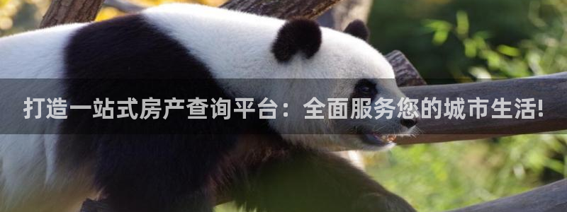 天狮娱乐 下载：打造一站式房产查询平台：全面服务您的城市生活