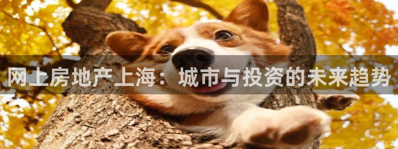 天狮娱乐 b主管61166：网上房地产上海：城市与投资的未来