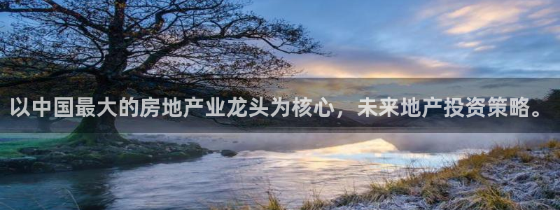天狮娱乐縕不稳当：以中国最大的房地产业龙头为核心，未来地产投