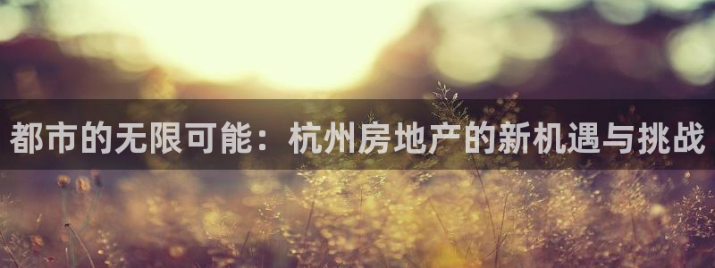 天狮娱乐q聊_99399天神_：都市的无限可能：杭州房地产的