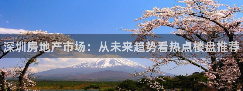 天狮娱乐指尖自：深圳房地产市场：从未来趋势看热点楼盘推荐