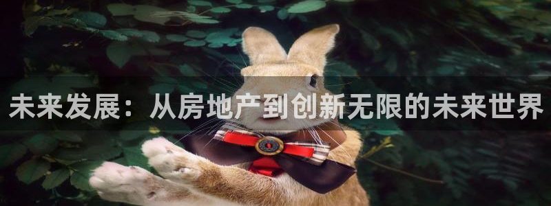 天狮娱乐注册q 0：未来发展：从房地产到创新无限的未来世界
