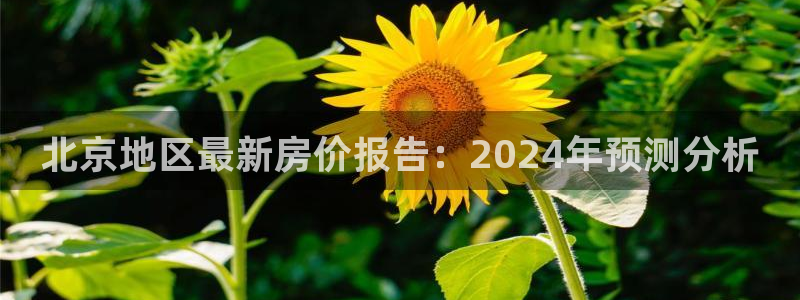 天狮娱乐彩票平台黑钱吗：北京地区最新房价报告：2024年预测