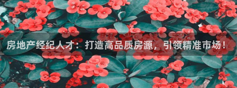 天狮娱乐 b主管61166：房地产经纪人才：打造高品质房源，