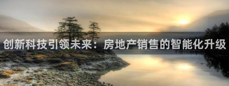 天狮娱乐是赌博吗：创新科技引领未来：房地产销售的智能化升级
