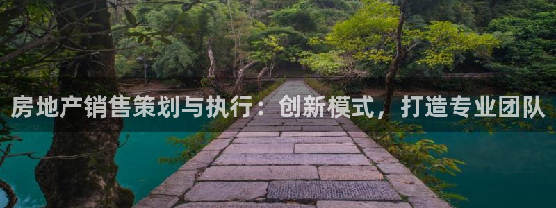 天狮娱乐嘉扣 o：房地产销售策划与执行：创新模式，打造专业团