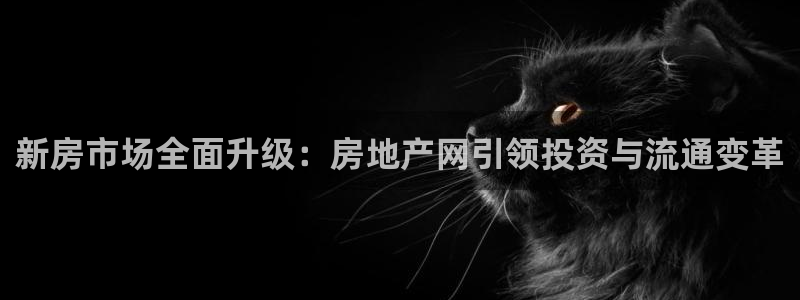 天狮娱乐靠谱吗：新房市场全面升级：房地产网引领投资与流通变革