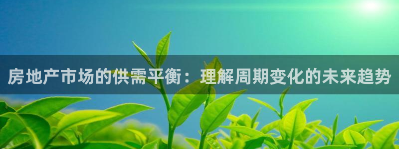 天狮娱乐 a主57661管：房地产市场的供需平衡：理解周期变