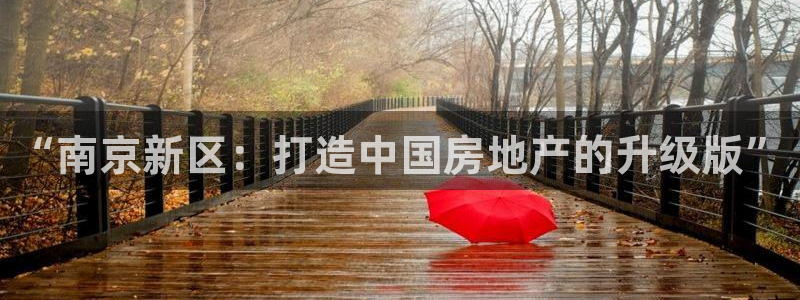 天狮娱乐如：“南京新区：打造中国房地产的升级版”