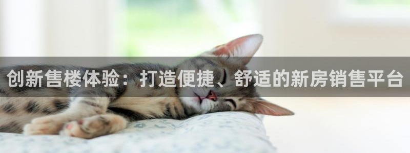 天狮娱乐指尖下载安装：创新售楼体验：打造便捷、舒适的新房销售