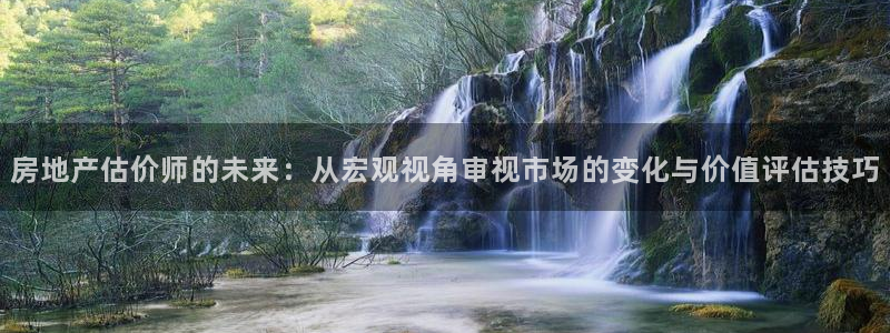 天狮娱乐招商36633：房地产估价师的未来：从宏观视角审视市