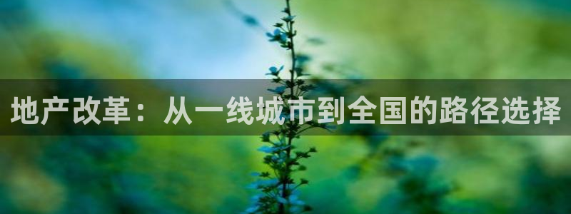 天狮娱乐哪里注册：地产改革：从一线城市到全国的路径选择