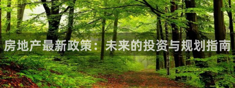 天狮娱乐注册登陆：房地产最新政策：未来的投资与规划指南