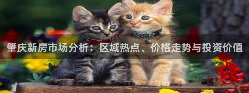 天狮娱乐负责：肇庆新房市场分析：区域热点、价格走势与投资价值