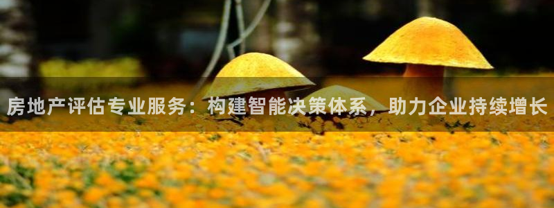 天狮娱乐 b招商61166：房地产评估专业服务：构建智能决策