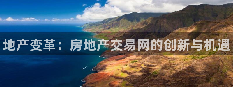 天狮娱乐能赚钱吗：地产变革：房地产交易网的创新与机遇